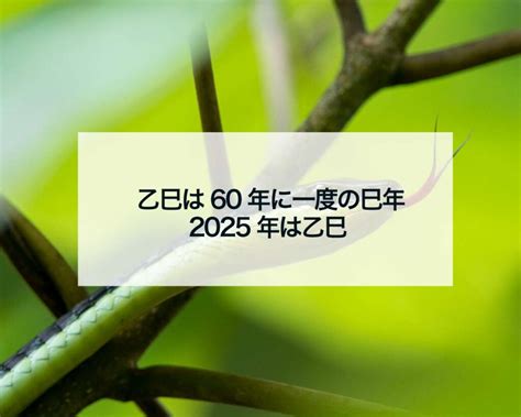 巳年 2025|2025年は60年に一度の巳年、乙巳（きのと み）！初詣におすす。